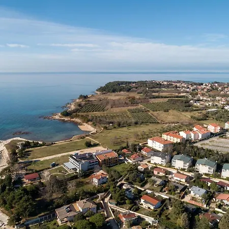 Irene 사부드리자