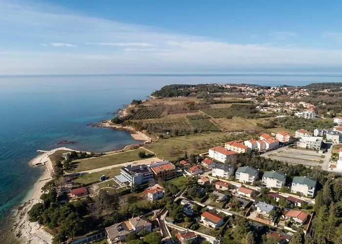 Irene 사부드리자